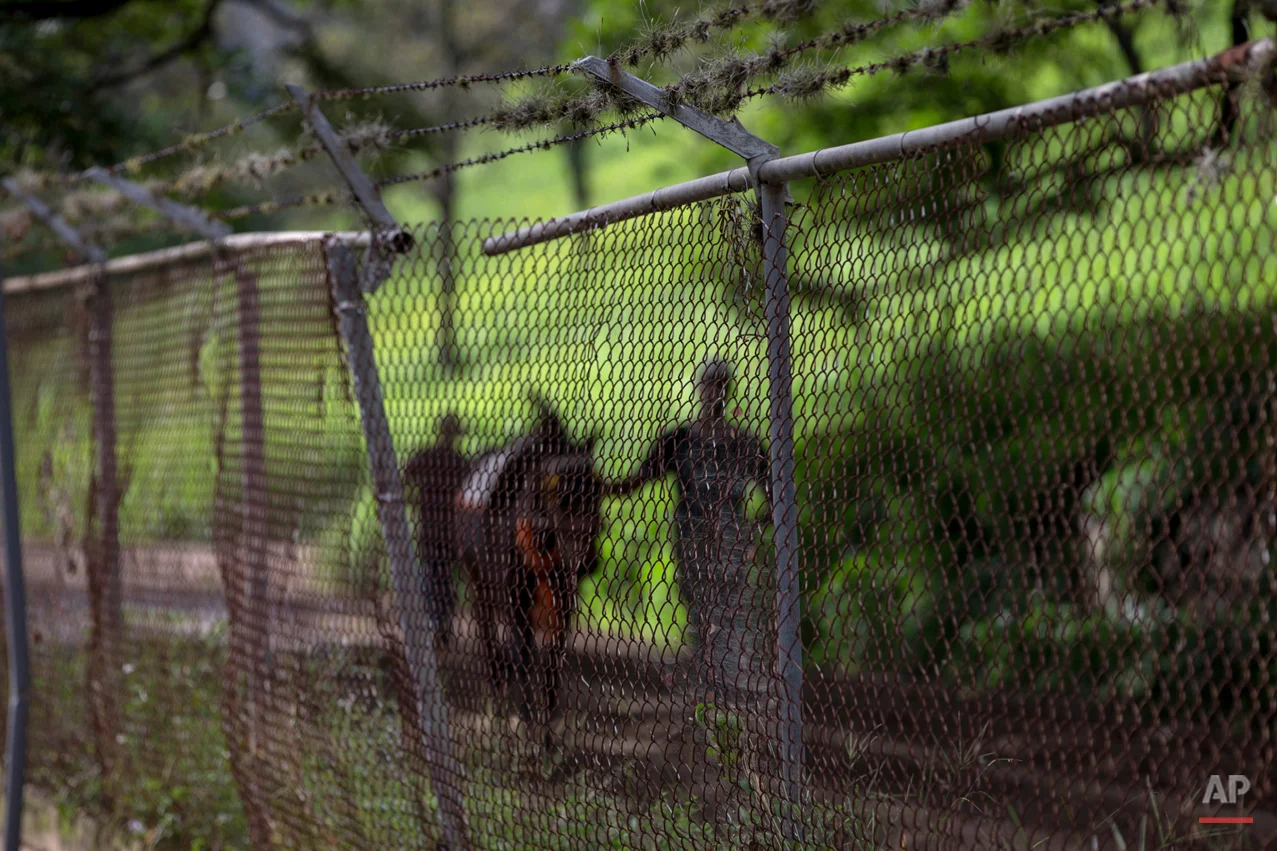 Venezuela Horse Mafia Photo Essay