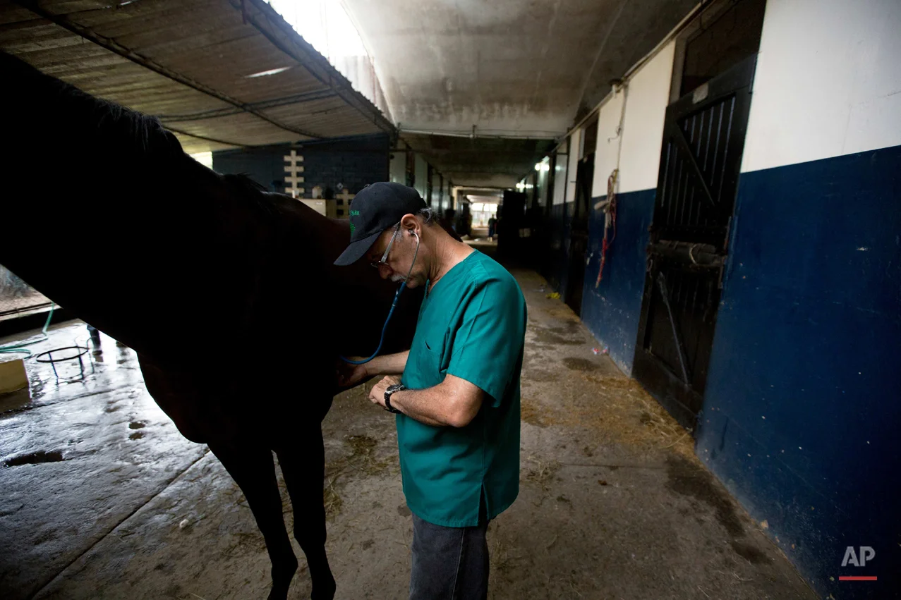 Venezuela Horse Mafia Photo Essay