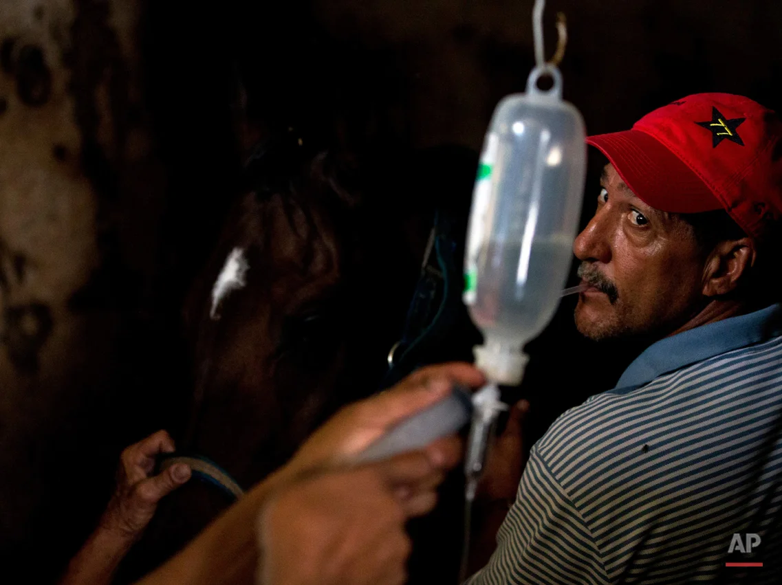 Venezuela Horse Mafia Photo Essay