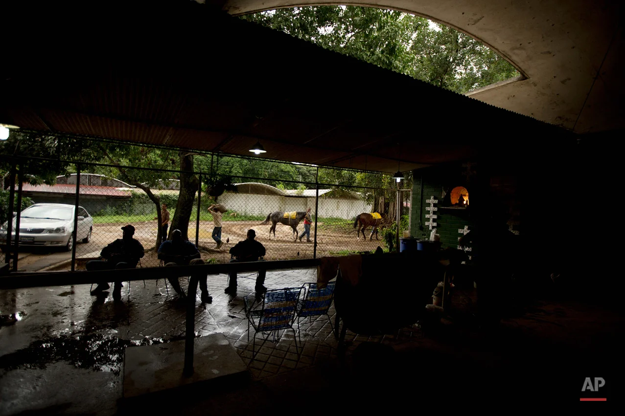 Venezuela Horse Mafia Photo Essay
