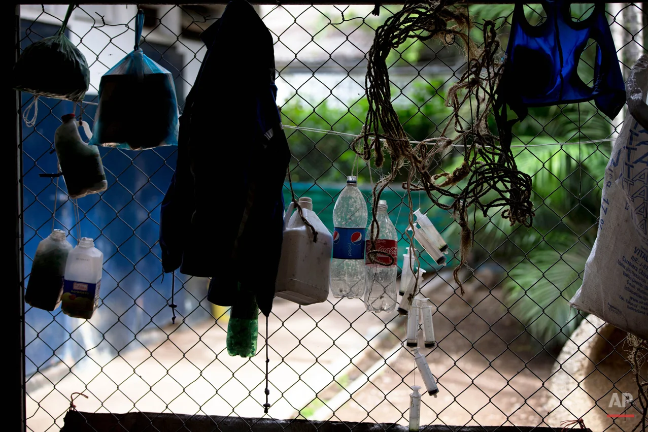 Venezuela Horse Mafia Photo Essay