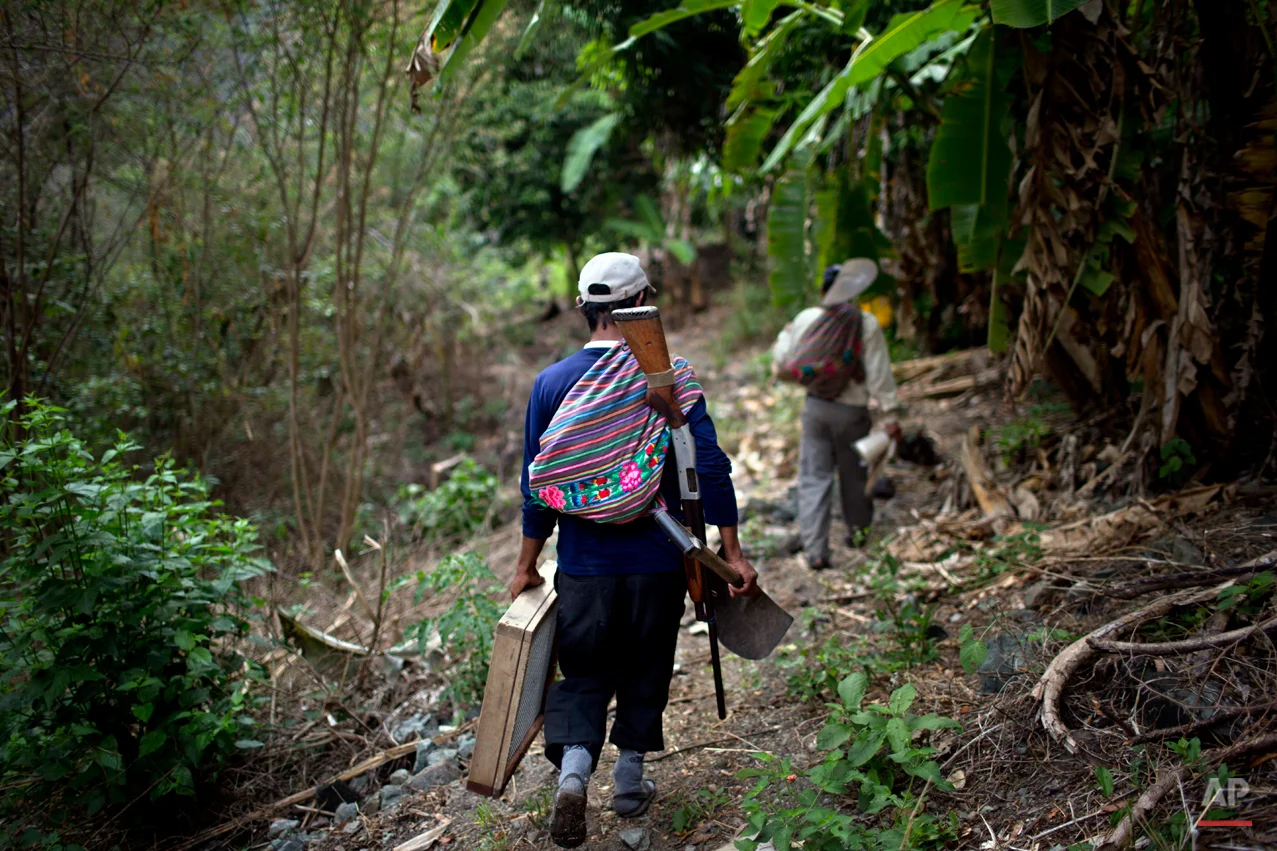 In this Sept. 4, 2014 photo, Belen Chapi Civil Defense Committee members help transport forensic anthropological equipment, as they journey to the Paccha village of Peru, to help forensic investigators find the common graves of of those killed in a 1984 massacre. Arriving is not easy. This rugged southeastern region known as ìOreja de Perro,î or Dogís Ear, lacks telephones and good roads.(AP Photo/Rodrigo Abd)