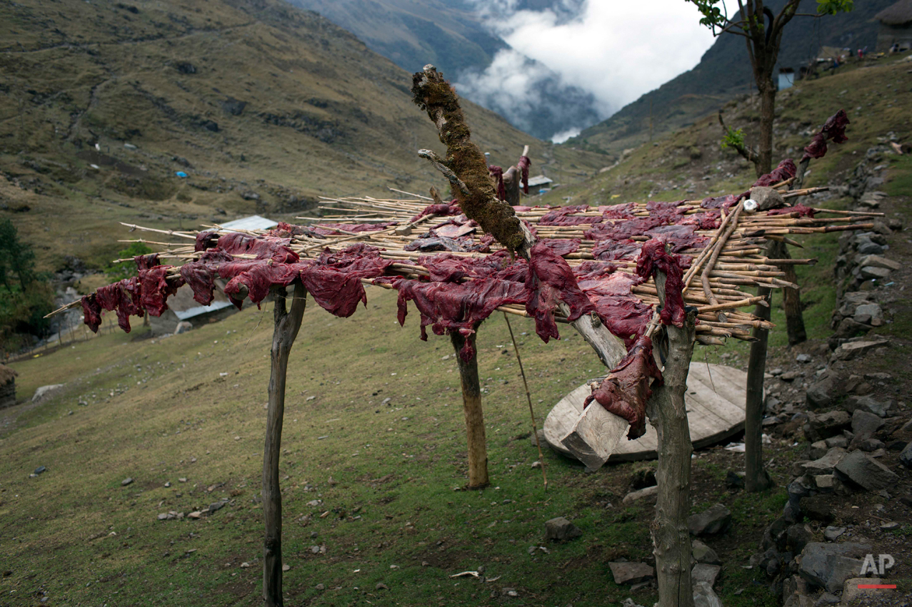  In this Sept. 3, 2014 photo, beef dries on a wooden rack in the Chupon village of Peru. This isolated corner of Peru is witnessing exhumations of mass gives with victims of the 1980-2000 internal conflict, which claimed an estimated 70,000 lives. Si