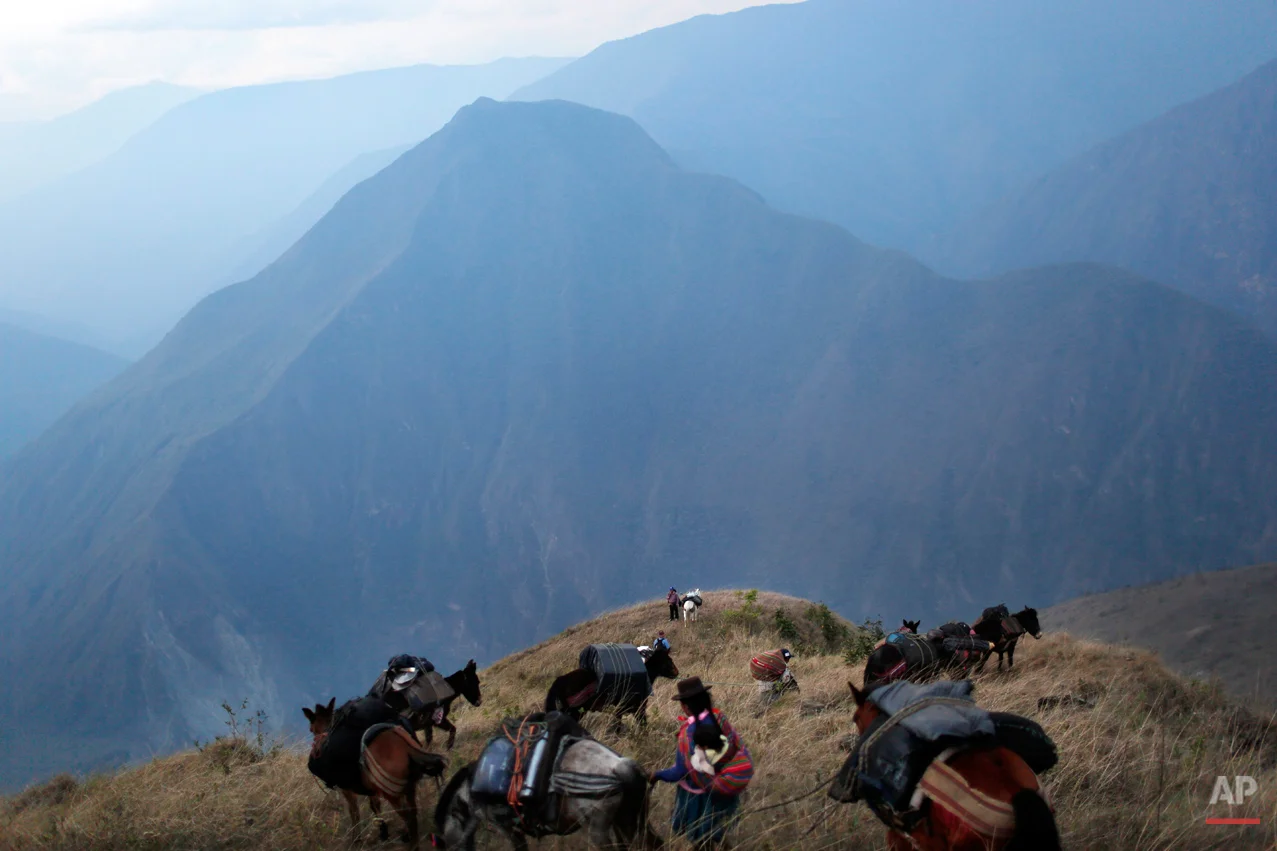 In this Sept. 3, 2014 photo, villagers leading donkeys loaded with the working tools for anthropologists, traverse a mountain pass on a journey to help forensic investigators locate the common graves of those killed in a 1984 massacre in the Paccha village of Peru. Arriving is not easy. This rugged southeastern region known as ìOreja de Perro,î or Dogís Ear, lacks telephones, grocery stores and good roads. (AP Photo/Rodrigo Abd)