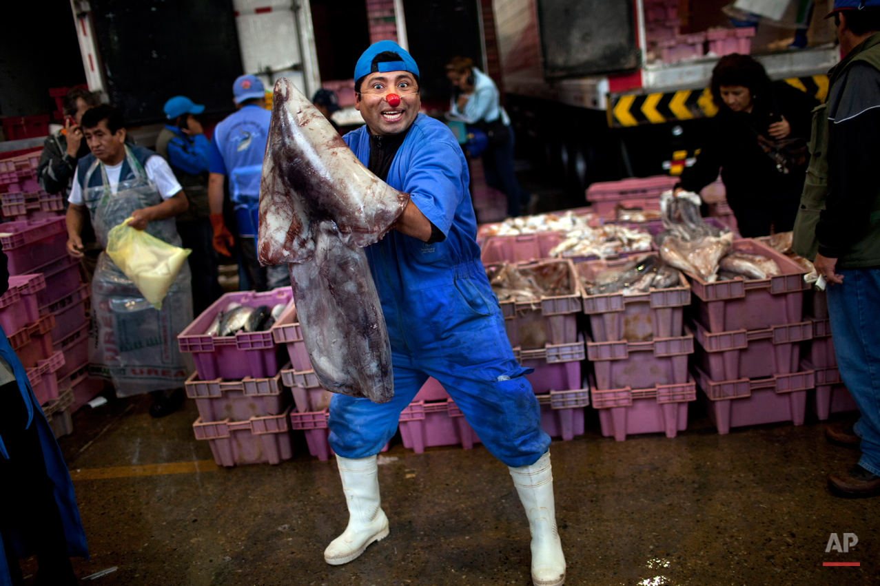  Vendor Alberto Ponce poses for a picture holding parts of a fish as he waits for customers at the Villa Maria del Triunfo market, one of the largest fish markets in Lima, Peru, Wednesday, Nov. 28, 2012.   Ponce says he wears a red clown nose in hope