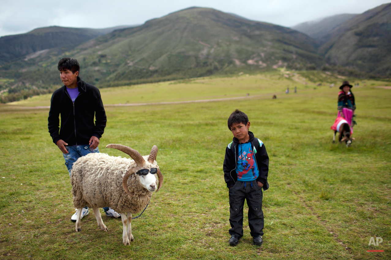  Manuel and his five-year-old brother Diego, right, wait for people to pose with their goat, for a nominal fee, near the Battle of Ayacucho monument, in Ayacucho, Peru, Friday, March 29,  2013. The brothers put sunglasses on their goat to attract the