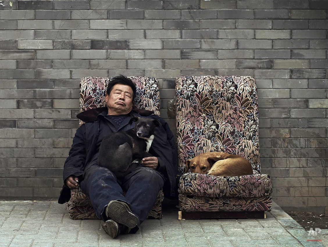 Stray dogs take rest together with a man on the broken sofas placed near a hutong in Beijing Wednesday, Feb. 23, 2011. (AP Photo/Andy Wong)