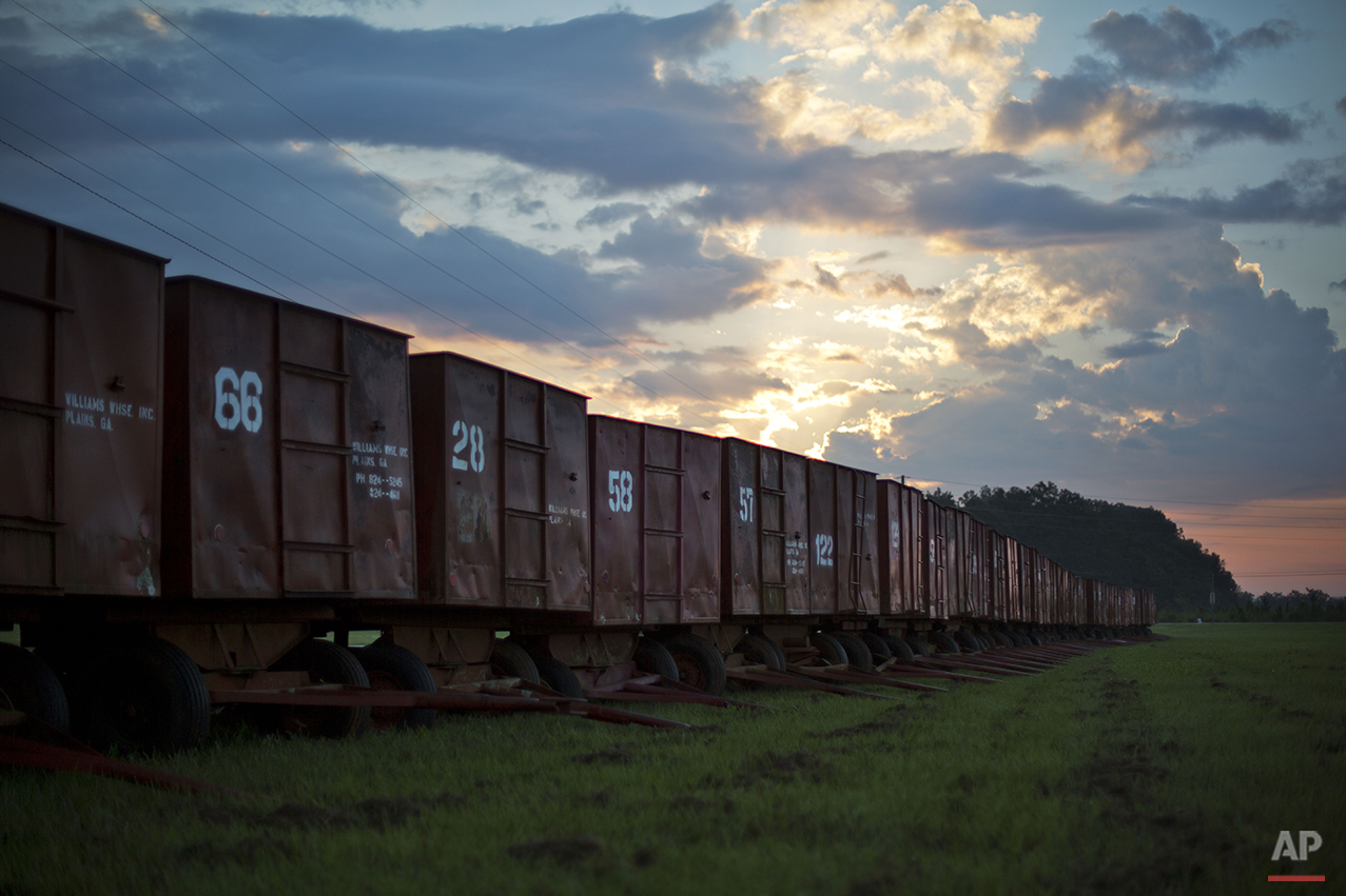  The sun rises as peanut wagons sit on a farm in the hometown of former President Jimmy Carter in Plains, Ga., Sunday, Aug. 23, 2015. Main Street stores are stocked with memorabilia of the former peanut farmer and Georgia governor. Nearby sites inclu