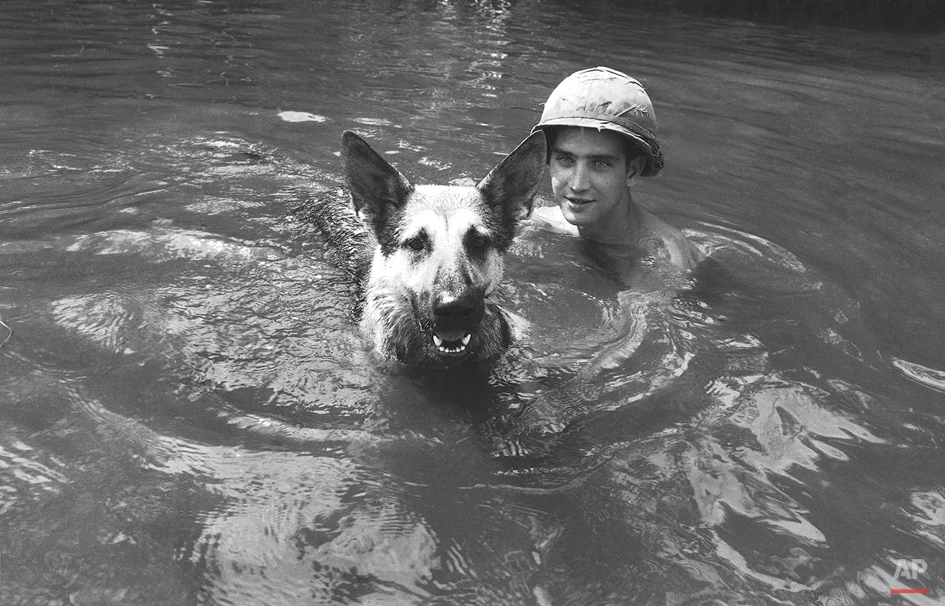 A dog handler attached to the U.S. 173rd airborne brigade and his dog take a cooling swim in a stream near the Unit’s home base at Bien Hoa, near Saigon Oct. 1, 1967. They had just returned from a patrol and both leaped into the water. (AP Photo)