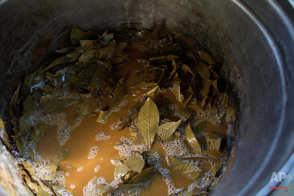  In this June 22, 2016 photo, a cauldron with the mixture of Jagube (Banisteriopsis caapi) and Chacrona leaves (Psychotria viridis) is brought to a boil during the preparation process of a psychedelic tea, in Ceu do Mapia, Amazonas state, Brazil. The