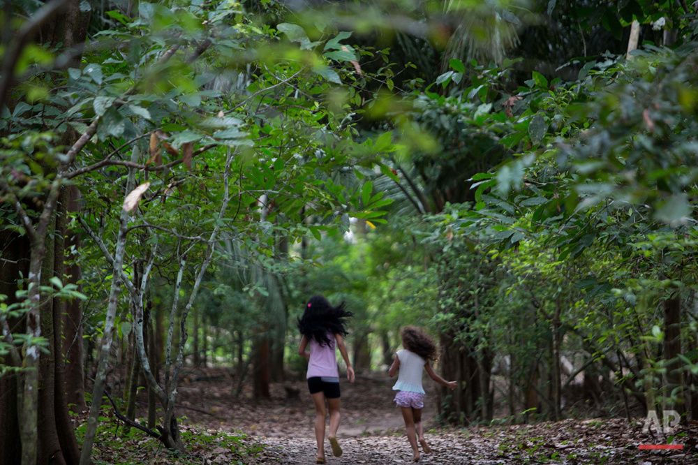  In this June 22, 2016 photo, girls run amidst a plantation of Chacrona (Psychotria viridis) one of the components of an ancient psychedelic tea locals know as the Holy Daime in Ceu do Mapia, Amazonas state, Brazil. In the early 1980s a rubber tapper