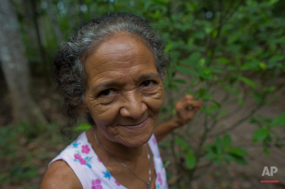  In this June 22, 2016 photo, Godmother Alda Figueira stands in a plantation of Chacrona (Psychotria viridis) used to make an ancient psychedelic tea locals know as the Holy Daime in Ceu do Mapia, Amazonas state, Brazil. The Cult of the Holy Daime wa