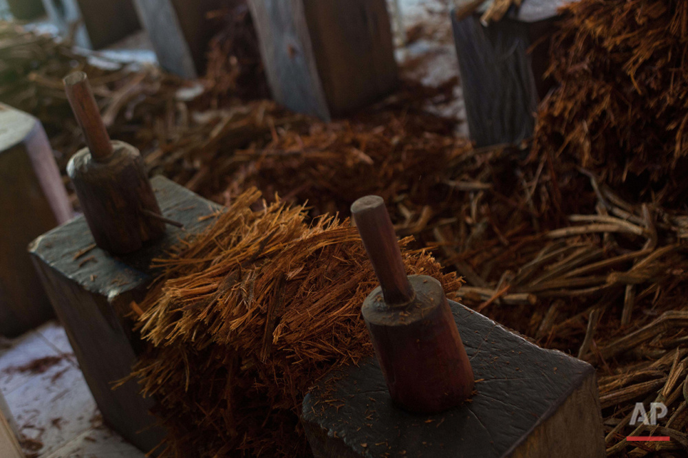  In this June 22, 2016 photo, pieces of Jagube (Banisteriopsis caapi), one of components of the psychedelic tea locals know as the Holy Daime sit after being pounded to extract its juices at the tea house in Ceu do Mapia, Amazonas state, Brazil. Peop