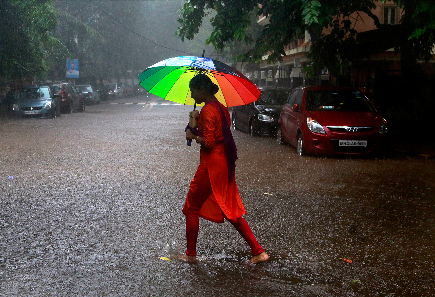 Pictures of the week
