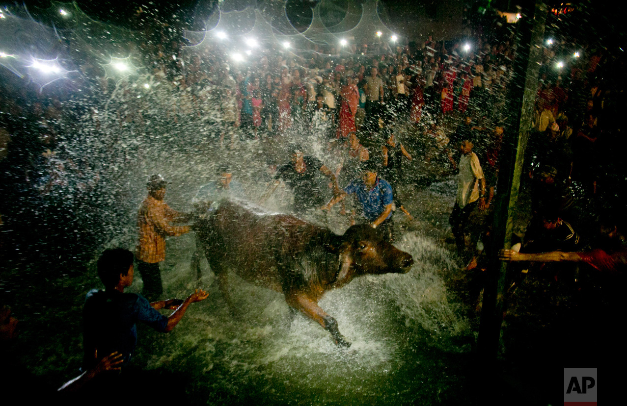 Nepal Hindu Festival