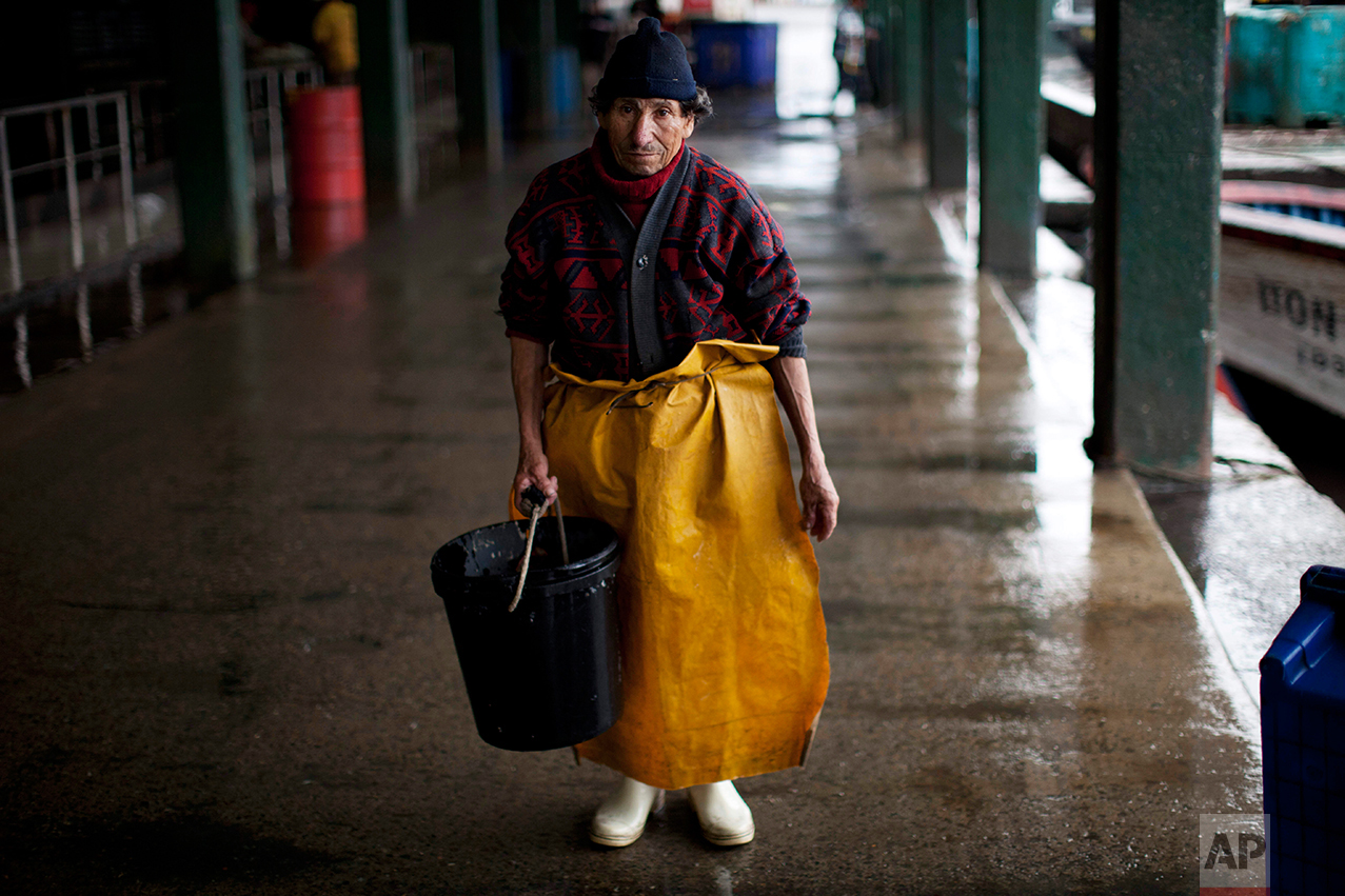  In this Nov. 27, 2012 photo, Humberto Cova Mendoza, who works skinning fish, poses for a portrait at the port of El Callao, Peru. Many believe the modernization of the port may have a negative impact on their livelihood, but fishermen also are concerned that overfishing has depleted the waters of scorpion fish, horse mackerel and mullet. Fishermen once arrived at El Callao's docks and sold as much as 110 pounds of fish. Nowadays, no more than 15 pounds are offered. (AP Photo/Rodrigo Abd)