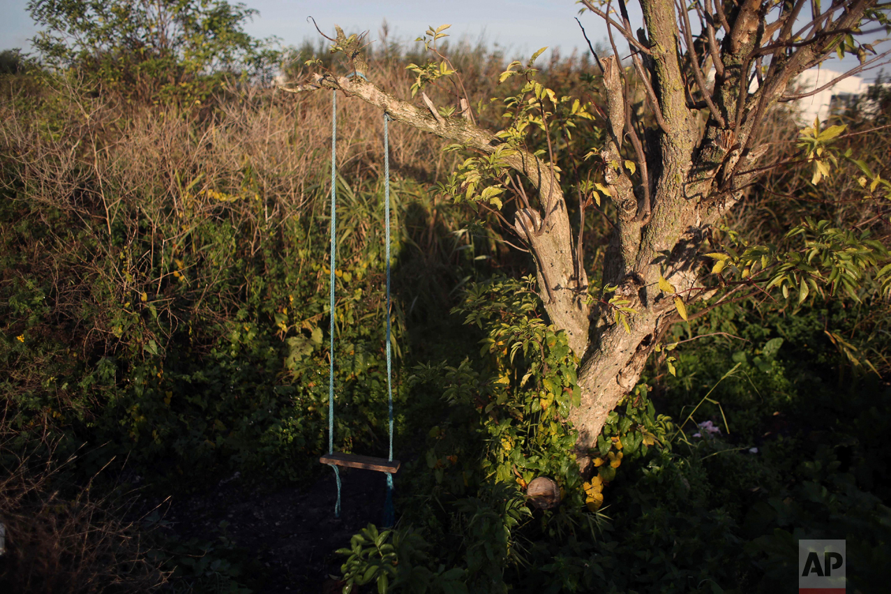 In this Thursday, Oct. 27, 2016 photo, a swing used by migrants hangs from a tree at the makeshift migrant camp known as "the jungle" near Calais, northern France. (AP Photo/Thibault Camus)