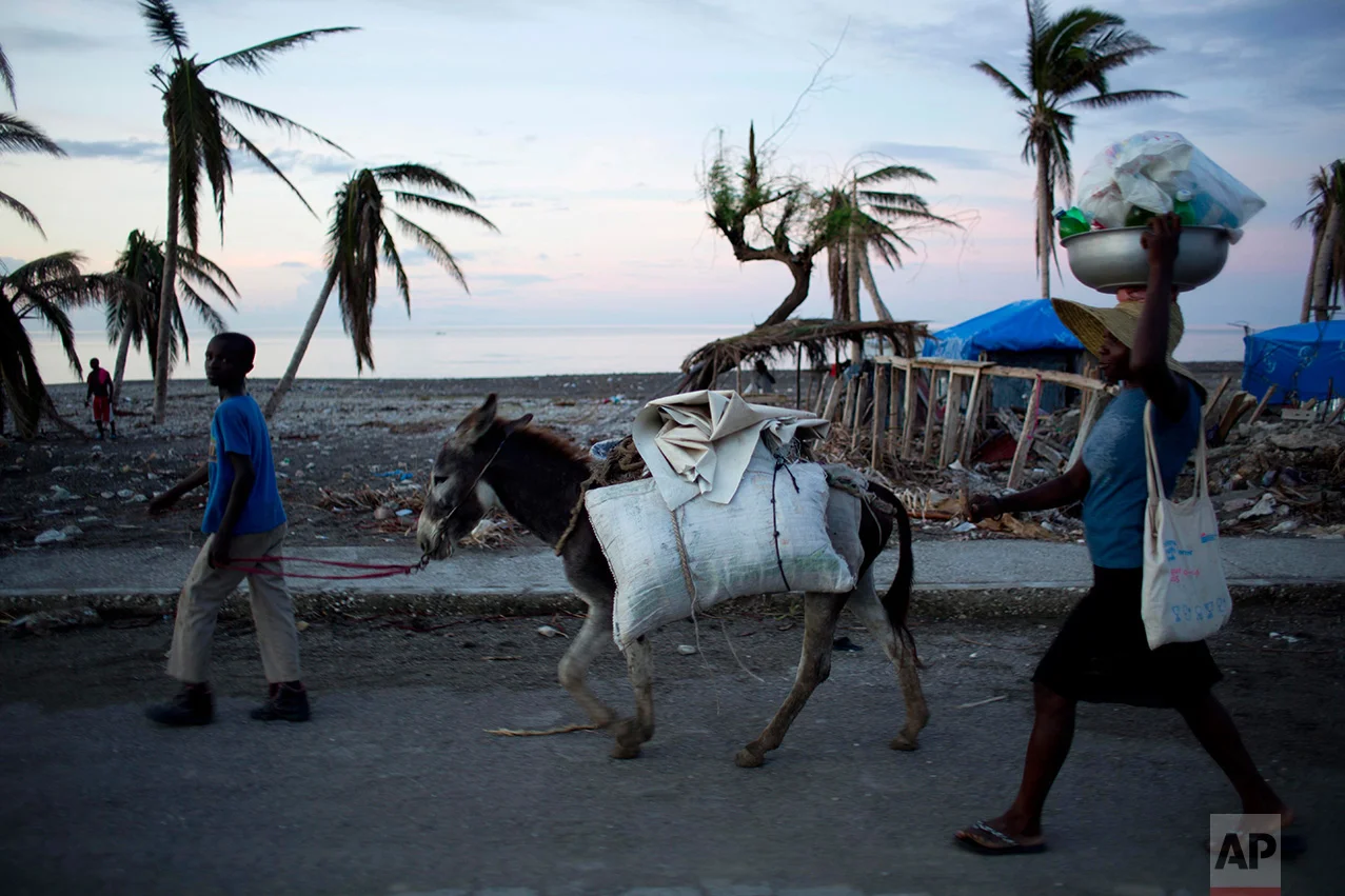 In this Nov. 1, 2016 photo, residents walk alongside their donkey to a street market, past a landscape destroyed by Hurricane Matthew, in Coteaux, Haiti. Throughout the disaster zone, health clinics and hospitals have been badly damaged and medicine is in short supply. (AP Photo/Dieu Nalio Chery)