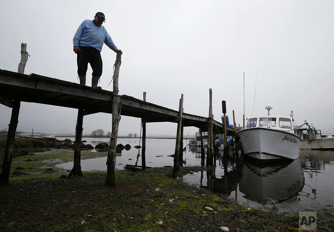 Lobsterman Richard Sawyer, Jr., waits for his sternman after a disappointing day of lobstering off Groton, Conn., on May 2, 2016. The 73-year-old, third-generation lobsterman is one of the few remaining working on Long Island Sound. He blames climate change and government regulations for the collapse of the lobster population. "Luckily I'm getting out of it, but as far as my kids and my grandkids, I recommend that they not even get into it or back into it, or stay with it. Whether they ever come back is really up to man. Either you're going to behave yourself and recycle and do the right things instead of pollute," says Sawyer. "The people of the earth are not taking care of Mother Earth. It's pure and simple. It's greed." (AP Photo/Robert F. Bukaty)