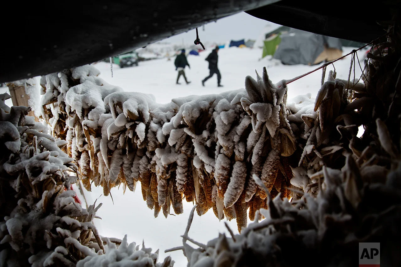 In this Tuesday, Nov. 29, 2016 photo, corn covered in snow hangs outside a tent at the Oceti Sakowin camp where people have gathered to protest the Dakota Access oil pipeline in Cannon Ball, N.D. North Dakota has often conjured images of a wind-swept, treeless wasteland. The perception was so great that it led to a short-lived proposal to change the state's name by dropping "North" and leaving just "Dakota," to dispel the image of inhospitable winter weather. (AP Photo/David Goldman)