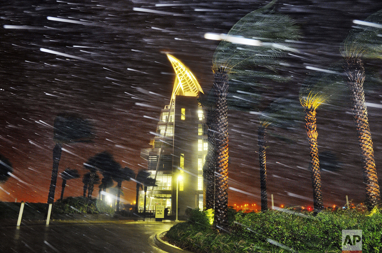  Trees sway from heavy rain and wind during Hurricane Matthew in front of Exploration Tower in Cape Canaveral, Fla., Oct. 7, 2016. (Craig Rubadoux/Florida Today via AP) 