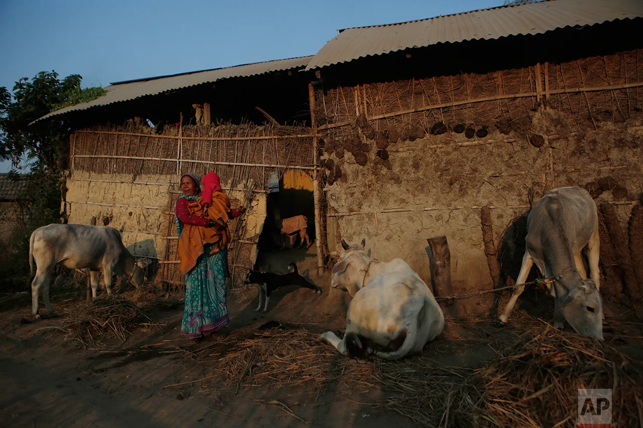 In this Wednesday, Nov. 23, 2016 photo, a priest helps Shivendra Kumar Mandal, 3, nicknamed Siban, perform cremation rituals before lighting the funeral pyre of his father Balkisun Mandal Khatwe, at Belhi village in Saptari district of Nepal. Balkisun died in his sleep in Qatar, where he was working Habtoor Leighton Group, loading trucks to build new highways. Nepal is one of the poorest and least developed countries in the world, and Belhi is one of its poorest places. The Mandals live eight people to a room in one of about 700 mud-and-stick homes set among dry, sparse rice paddies. (AP Photo/Niranjan Shrestha)