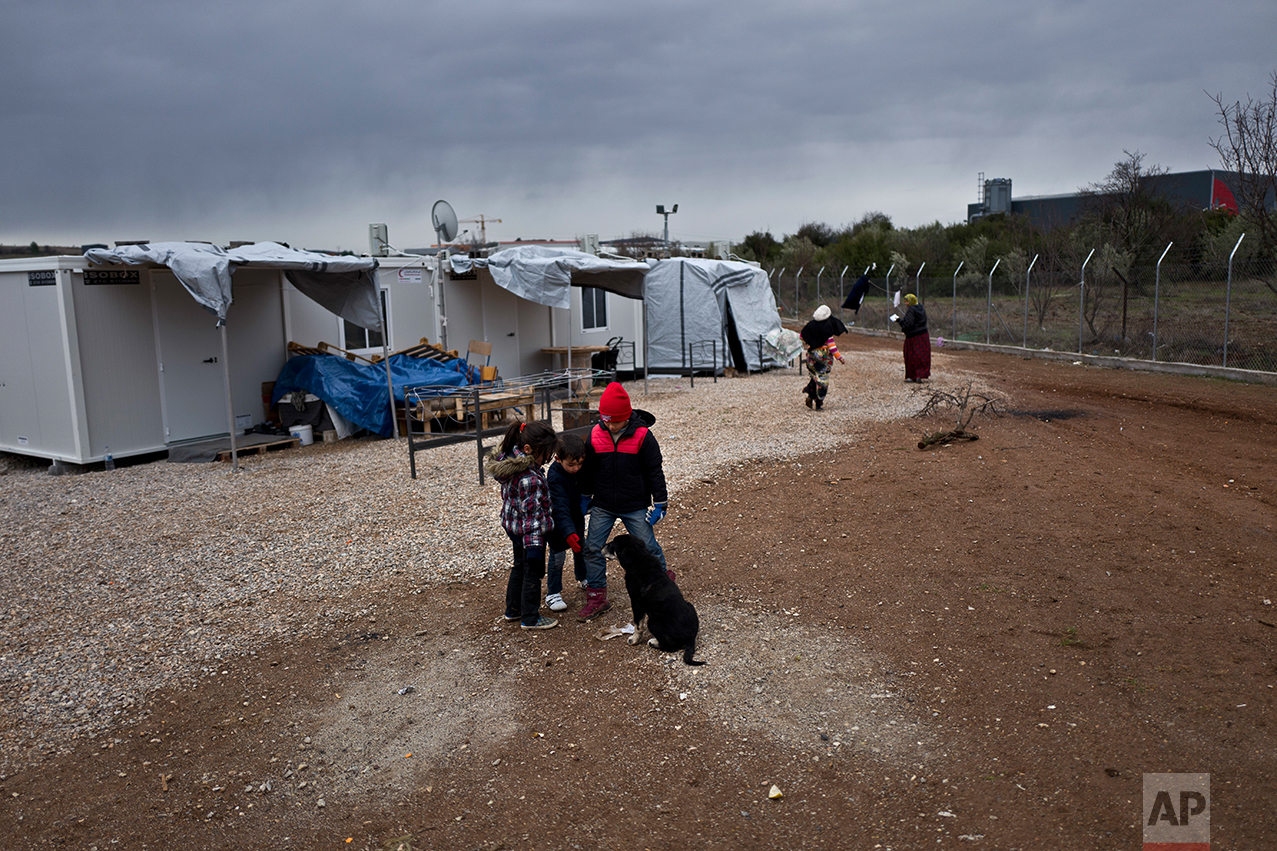  Syrian refugee children play with a puppy at the refugee camp of Ritsona about 86 kilometers (53 miles) north of Athens, Wednesday, Dec. 28, 2016. (AP Photo/Muhammed Muheisen) 