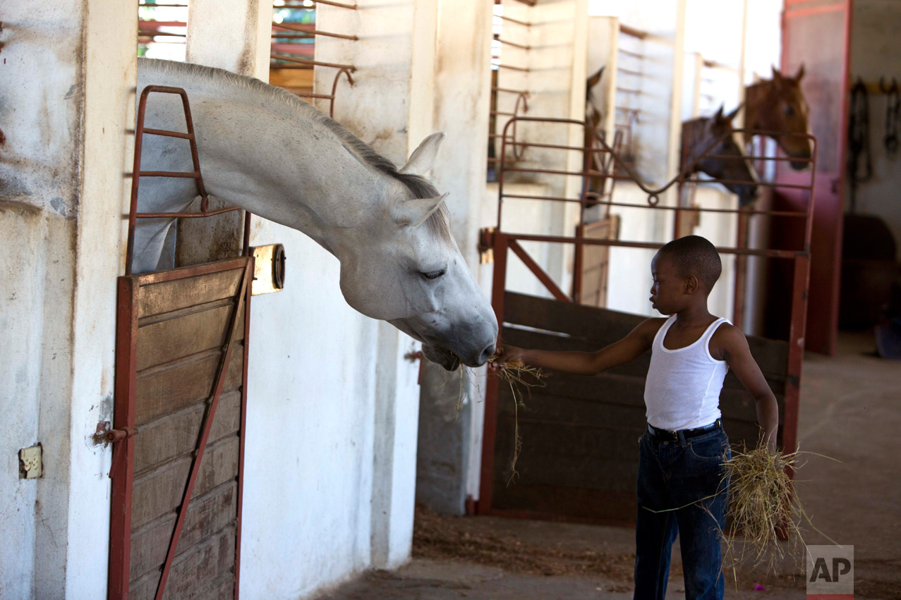 In this Jan. 11, 2017 photo, Judeley Hans Debel, who walks on a prosthetic right leg, feeds a horse at the Chateaublond Equestrian Center in Petion-Ville, Haiti. Judeley is one of a few dozen disabled people receiving therapeutic riding lessons at the center, according to his riding instructor, Louis Guerdes. (AP Photo/Dieu Nalio Chery)