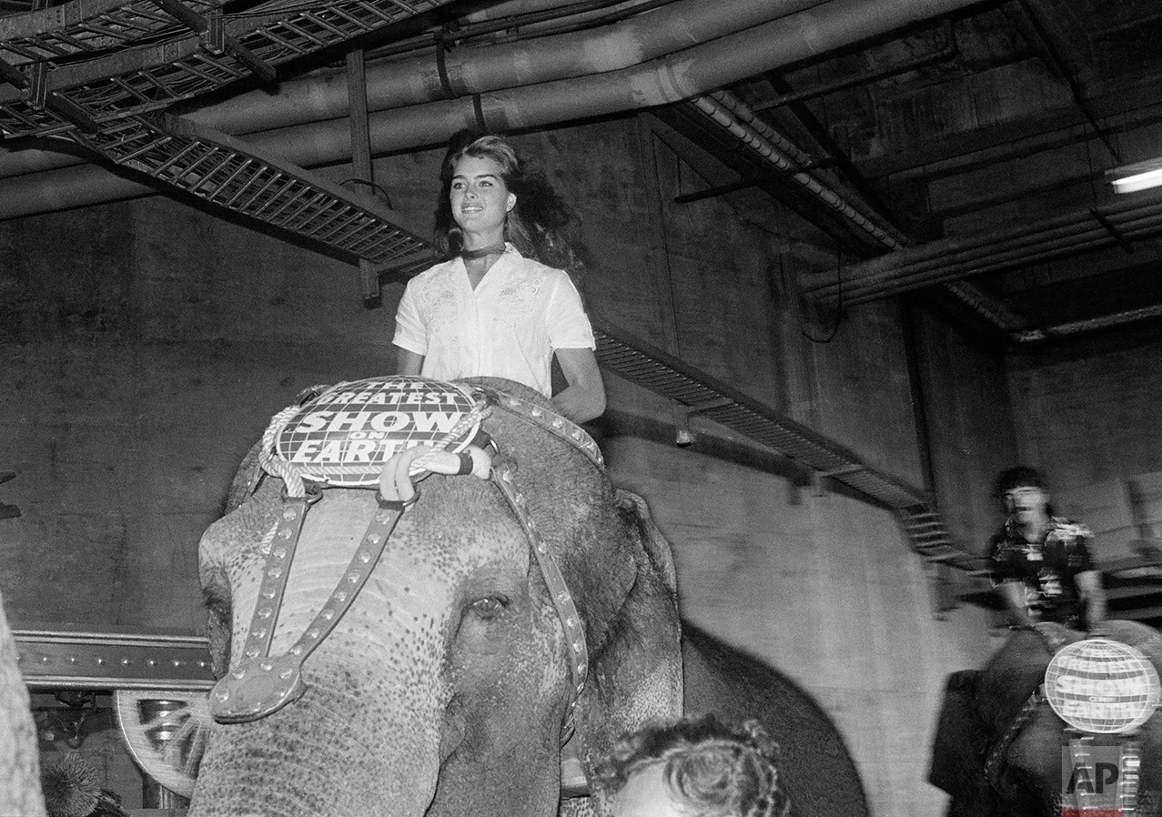 Brooke Shields Rides Elephant 1982