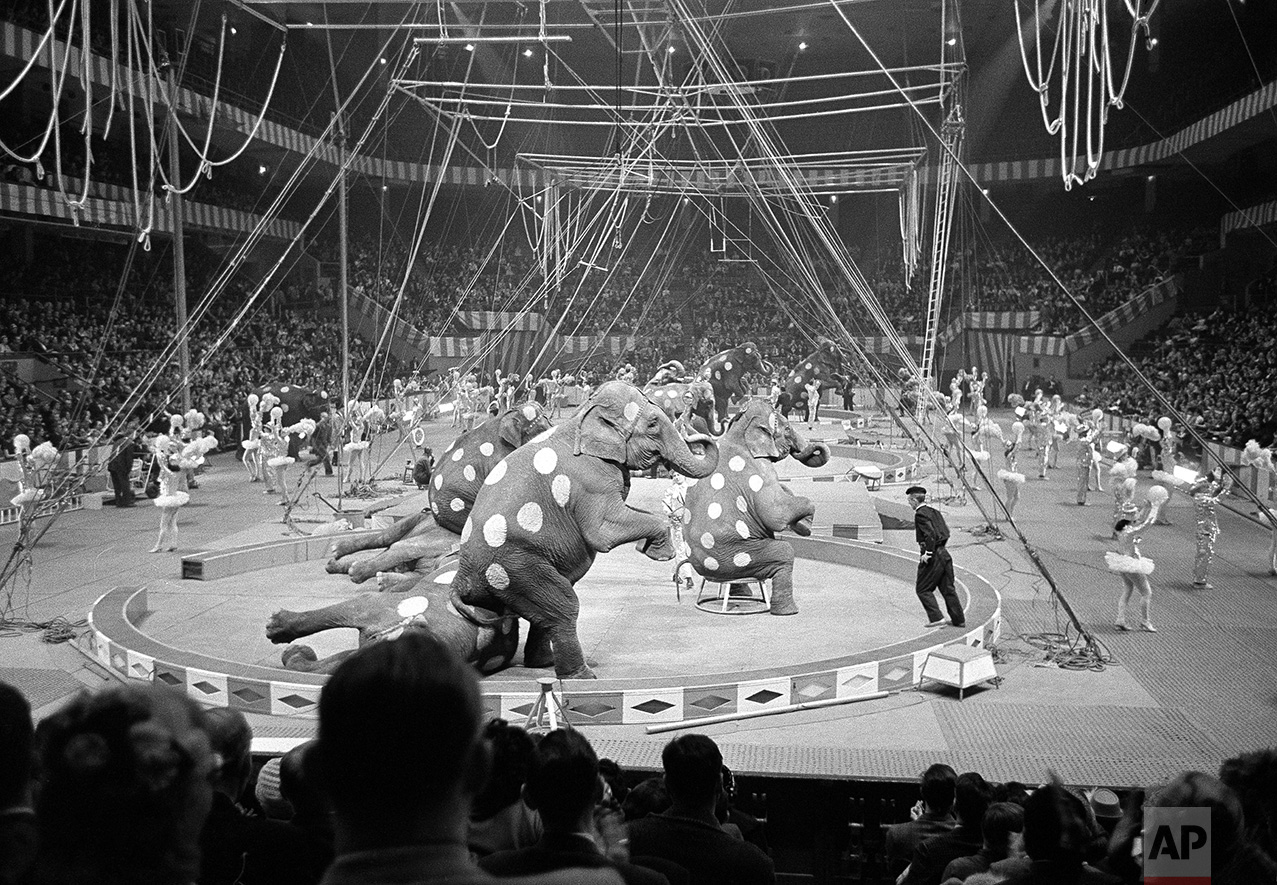 Elephants and Dancers 1961