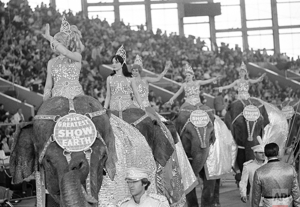 Elephants Parading 1970