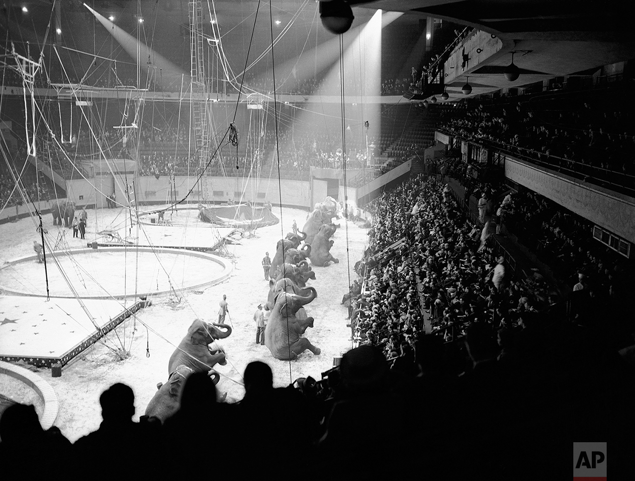 Opening night performance of the "Greatest Show on Earth" in New York's Madison Square Garden on April 5, 1939.  