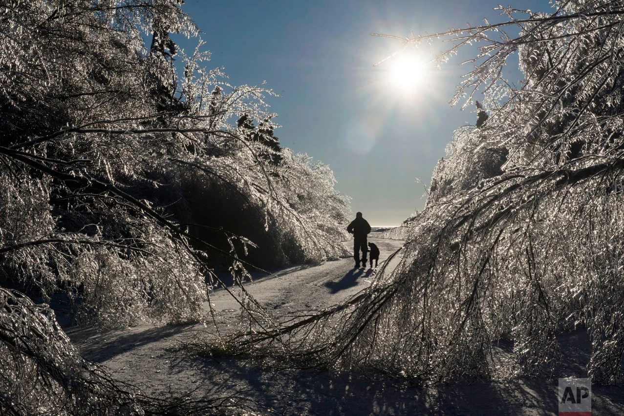 Prudent Mazerolle walks with his dog, Blackie, on the main road to his house in Pointe Sapin, New Brunswick, on Thursday, Jan. 26, 2017. More than 80,000 customers were still without power in many parts of New Brunswick early Thursday after a blustery mix of freezing rain, ice pellets and strong winds moved through the Maritimes. (Diane Doiron/The Canadian Press via AP)