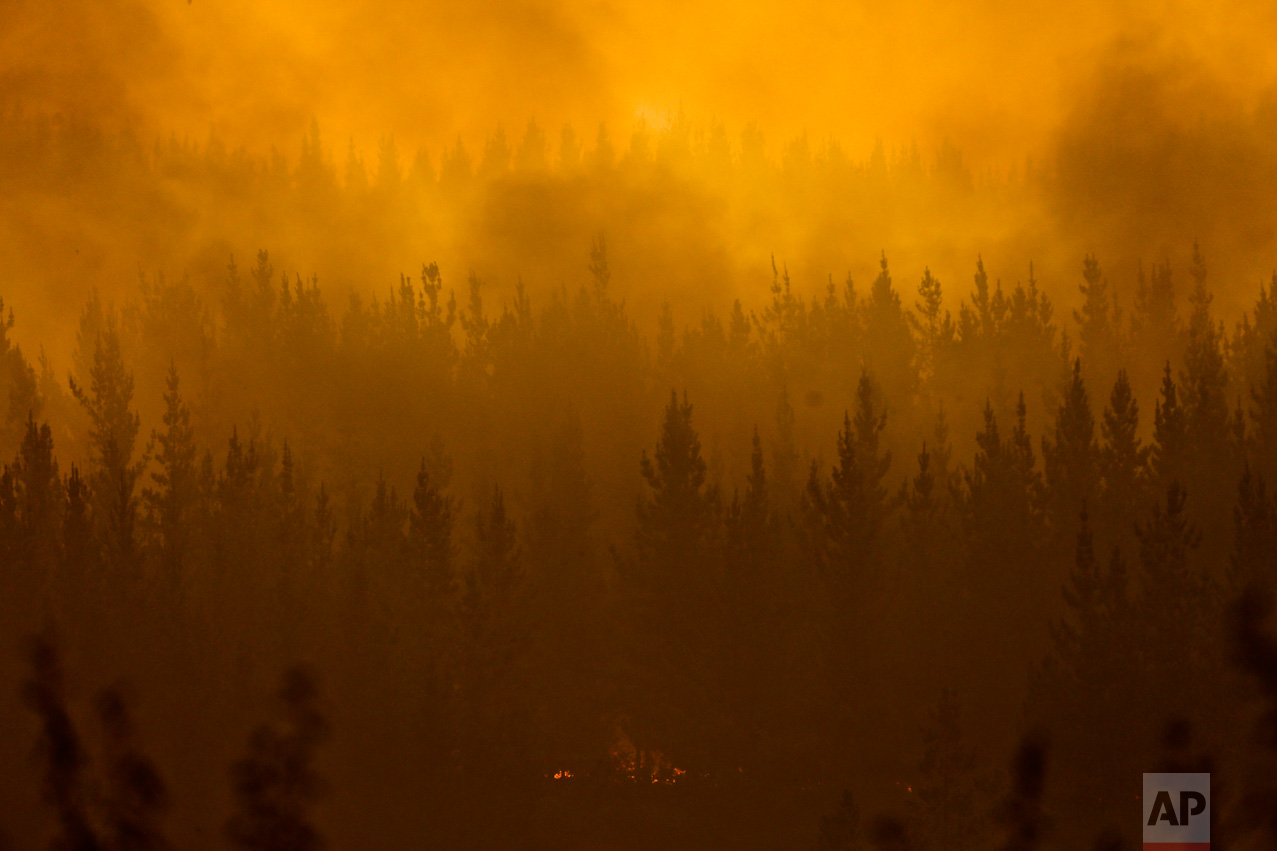 In this Jan. 21, 2017 photo, wildfires burn in Pumanque, Chile. The ferocity of the flames prompted President Michelle Bachelet's to declare a state of emergency, deploy troops and ask for international help, calling it "the greatest forest disaster" in Chile's history. (AP Photo/Esteban Felix)