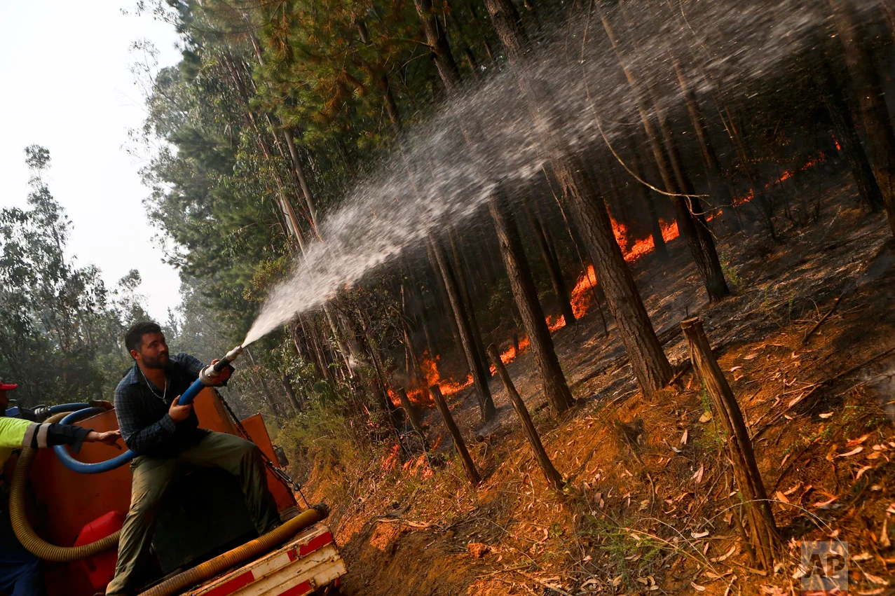 In this Saturday, Jan. 28, 2017 photo, a man battles approaching wildfires in Hualqui, Chile. Firefighters and residents continue to fight the fast-spreading blazes, while a Russian supertanker plane and a Brazilian Hercules have dumped thousands of gallons of water on the area, southwest of the Chilean capital. (AP Photo/Esteban Felix)