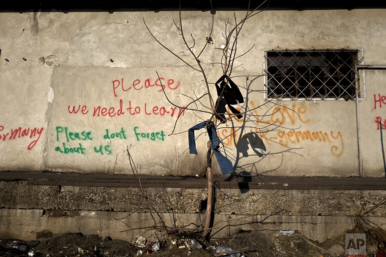 Laundry of migrants is left on a tree to dry outside an abandoned warehouse where they took refuge in Belgrade, Serbia, Tuesday, Jan. 31, 2017. (AP Photo/Muhammed Muheisen)