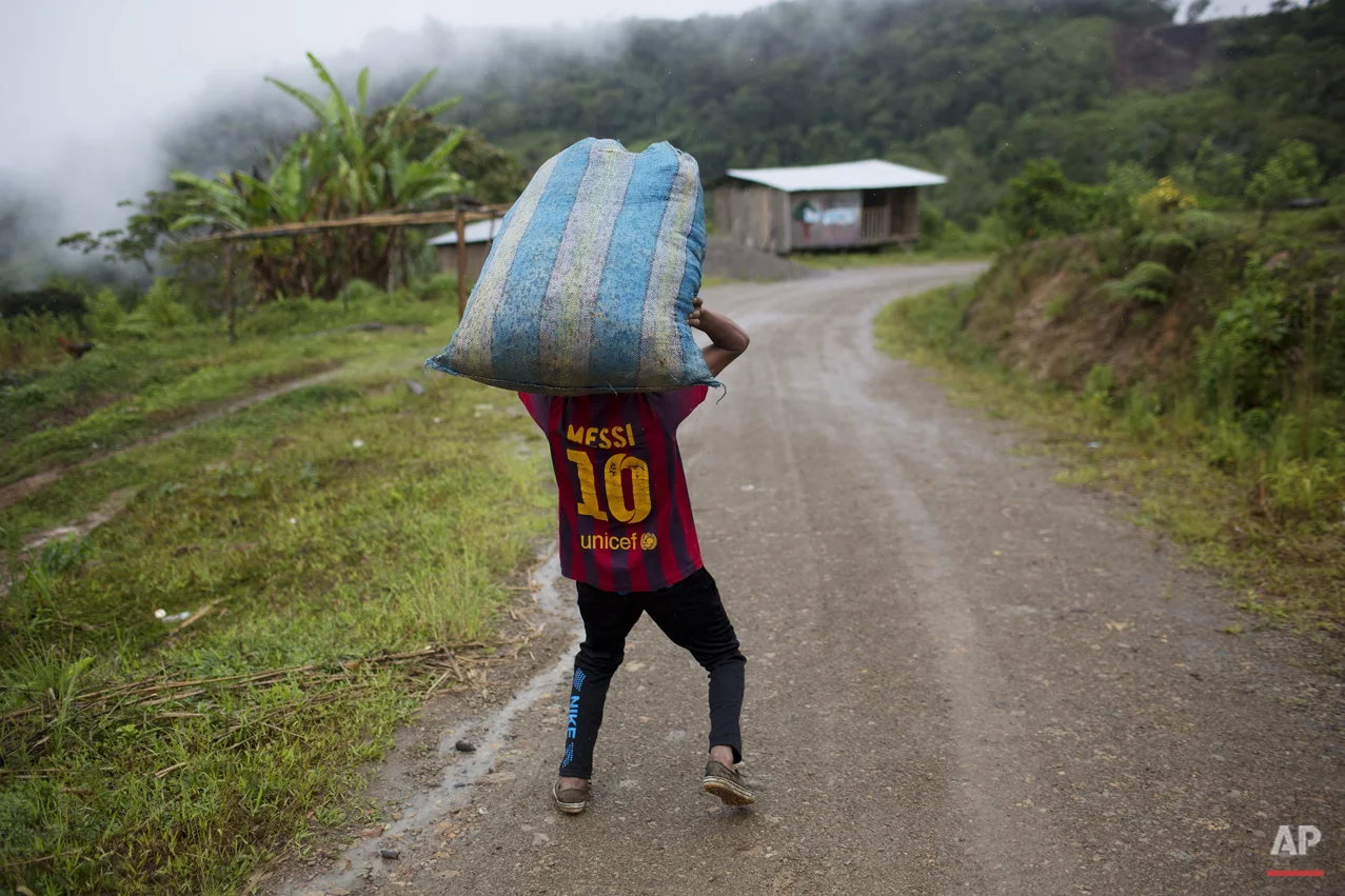  In this March 16, 2015 photo, Jhorlis Huallpa, 17, carries tarpaulins to dry coca leaves after their harvest in La Mar, province of Ayacucho, Peru. Peru’s cocaine trade is highly decentralized, run by scores of “firms” of extended families. The back