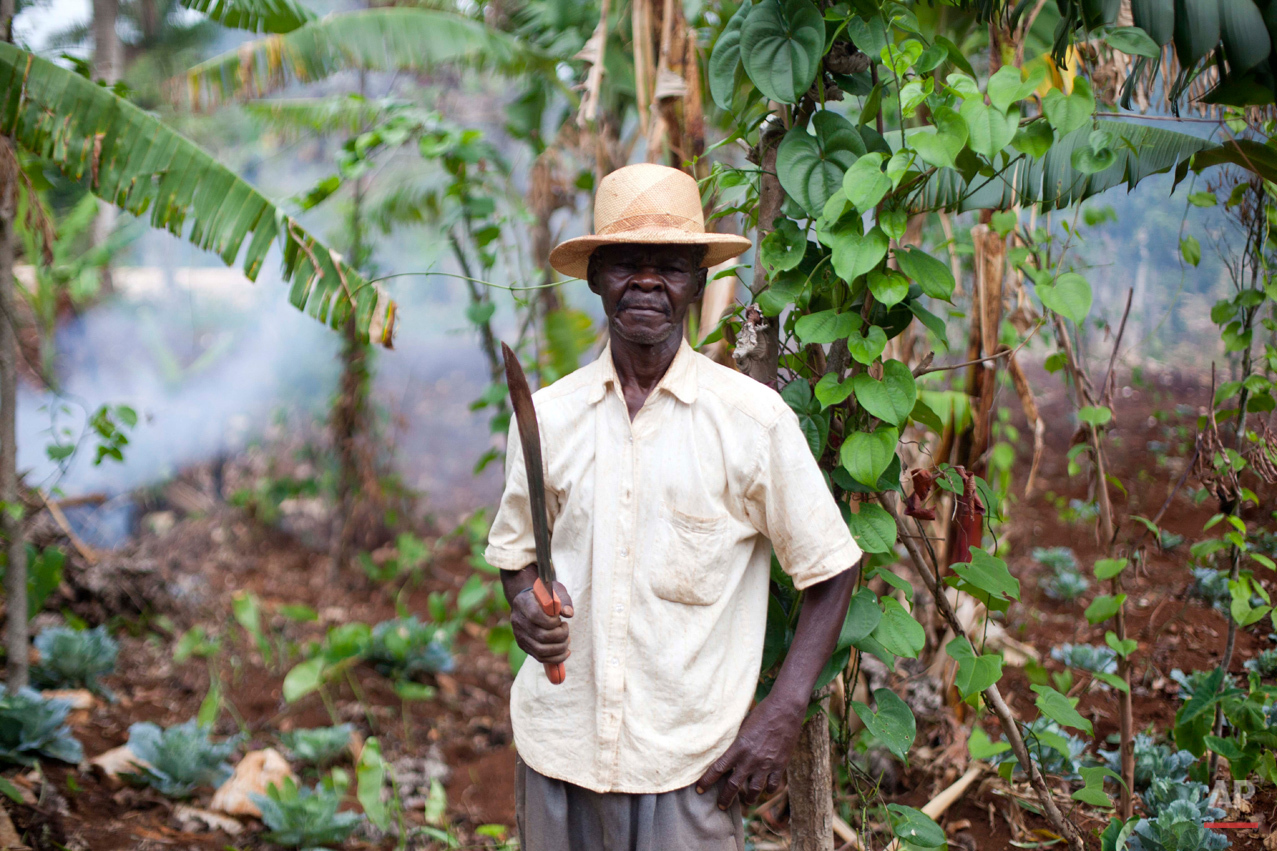  In this July 14, 2015 photo, Etoine Louisdieu, Mariette Williams' paternal uncle, poses for a portrait with his machete in his garden in Deron, a neighborhood on the outskirts of Pestel, Haiti. His garden, where he grows bananas, cabbage, yams and b