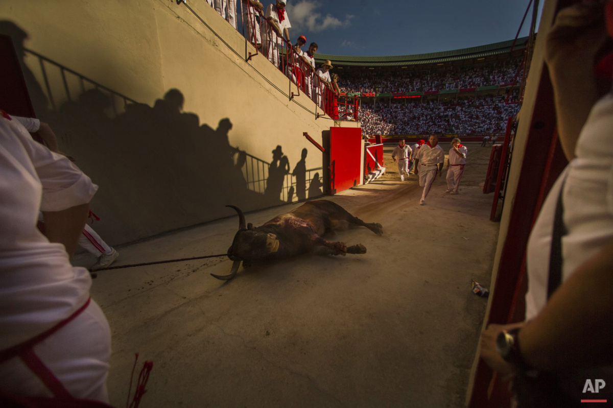  Workers carry a dead bull during a bullfight of the San Fermin festival in Pamplona, Spain, Tuesday, July 7, 2015. Revelers from around the world arrive in Pamplona every year to take part on some of the eight days of the running of the bulls.(AP Ph