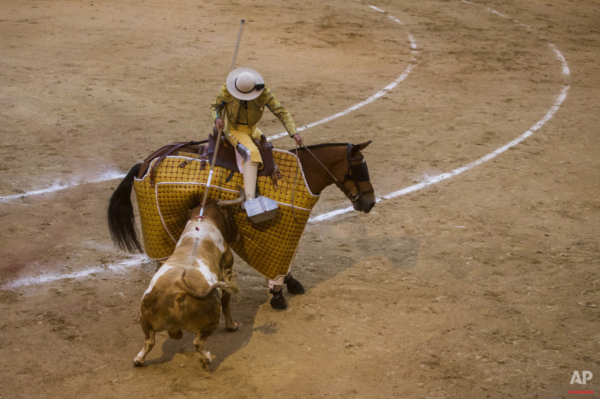  Bullfighter Curro Diaz performs with a bull during a bullfight at Las Ventas bullring in Madrid, Spain, Sunday, May 3, 2015. Bullfighting is a traditional spectacle in Spain and the season runs from March to October. (AP Photo/Andres Kudacki) 