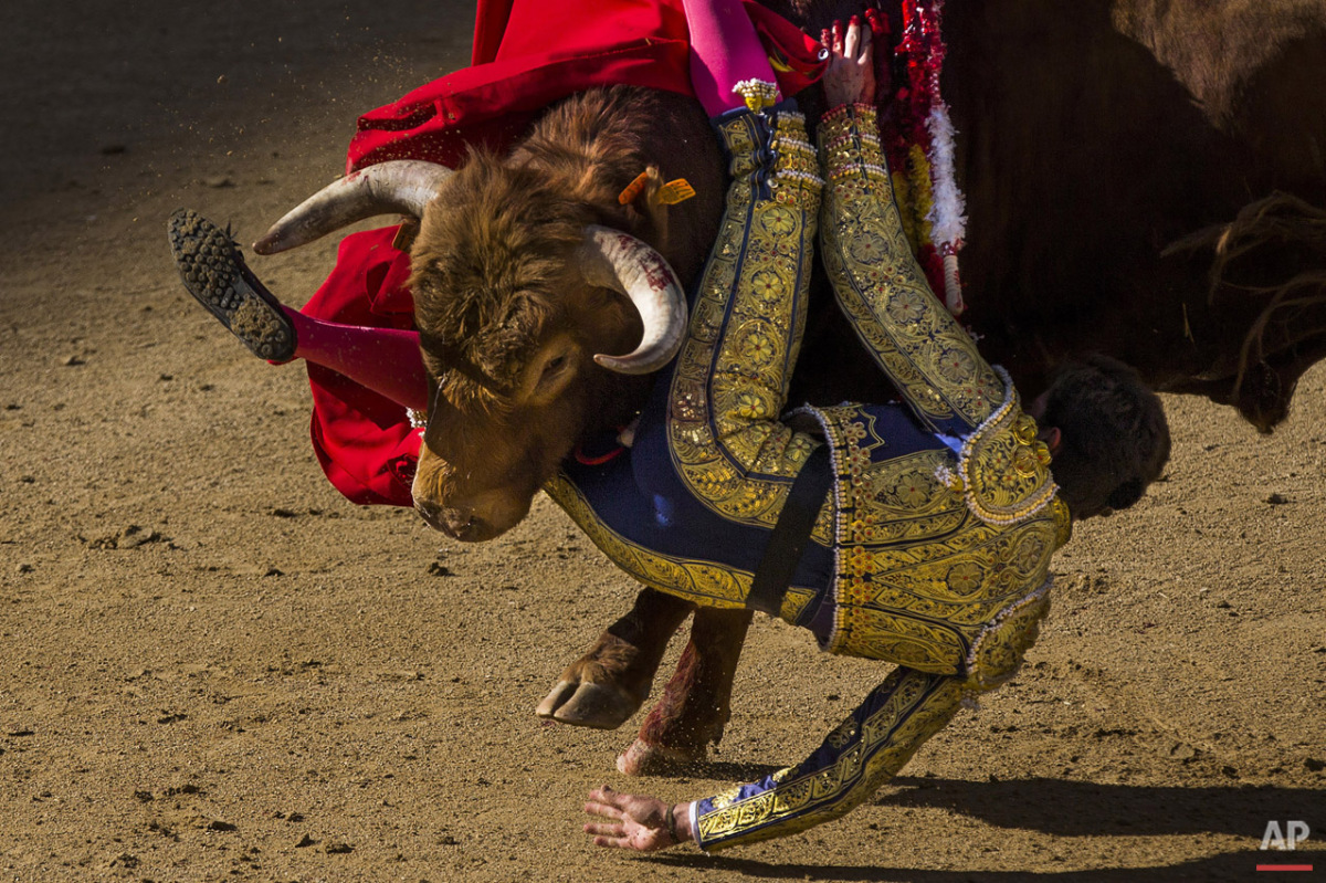  Bullfighter Tomas Angulo is tossed by bull during a bullfight at Las Ventas bullring in Madrid, Spain, Sunday, April 19, 2015. Bullfighting is a traditional spectacle in Spain and the season runs from March to October. (AP Photo/Andres Kudacki) 