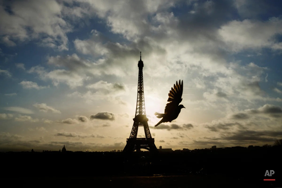 A bird flies in front of the Eiffel Tower ,which remained closed on the first of three days of national mourning, in Paris, Sunday, Nov. 15, 2015. Thousands of French troops deployed around Paris on Sunday and tourist sites stood shuttered in one of the most visited cities on Earth while investigators questioned the relatives of a suspected suicide bomber involved in the country's deadliest violence since World War II.(AP Photo/Daniel Ochoa de Olza)