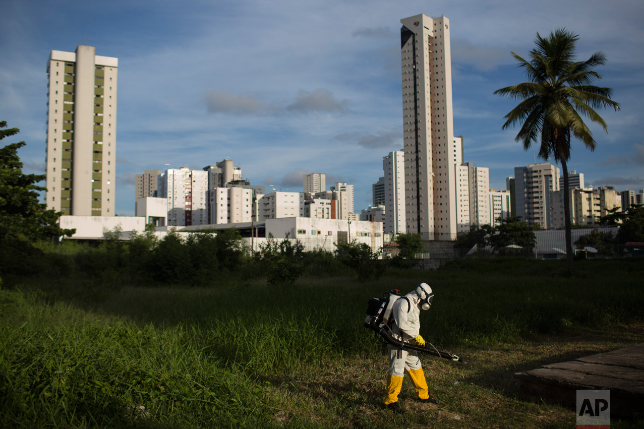  A municipal health worker sprays insecticide in an open area of a sports facility, to combat the Aedes aegypti mosquito that transmits the Zika virus, in Recife, Pernambuco state, Brazil, Thursday, Feb. 4, 2016. With no hope for a vaccine to prevent