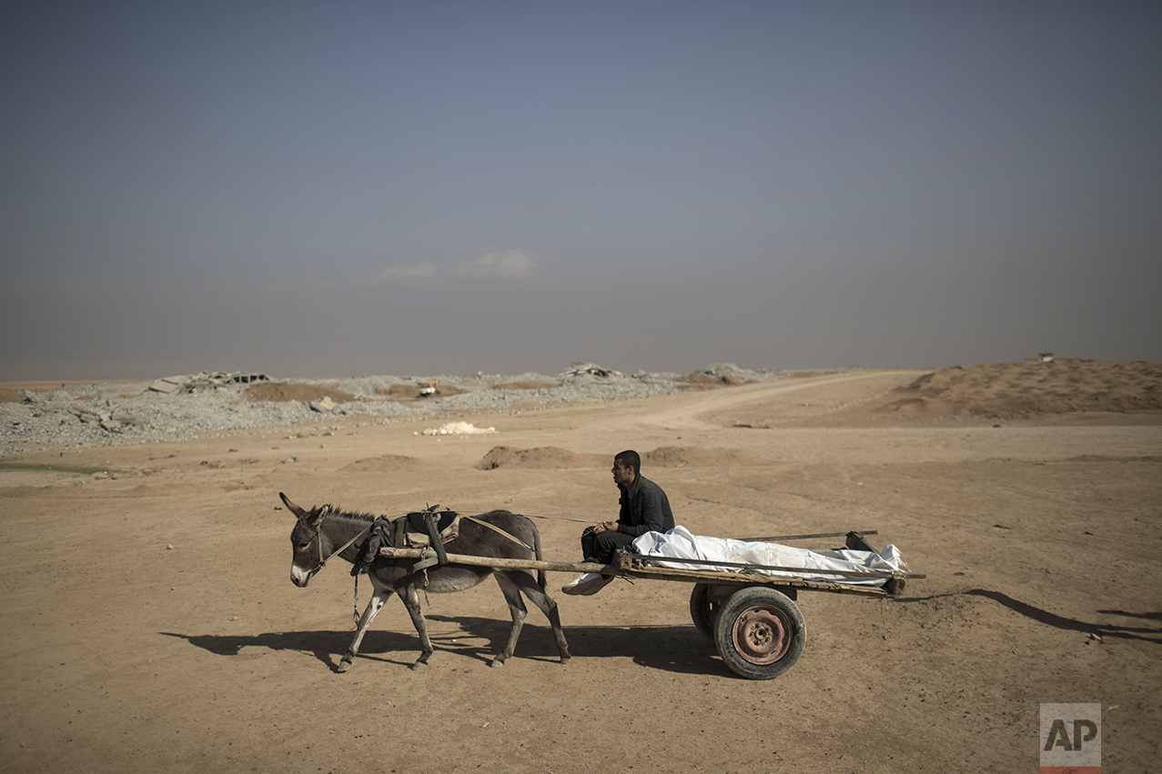  The body of 19-year-old Berzan Ibrahim Khelil, who was killed by a mortar during fighting between the Iraqi forces and Islamic State militants is carried to a cemetery on a cart by his cousin in Mosul, Iraq, Thursday, Nov. 17, 2016. (AP Photo/Felipe