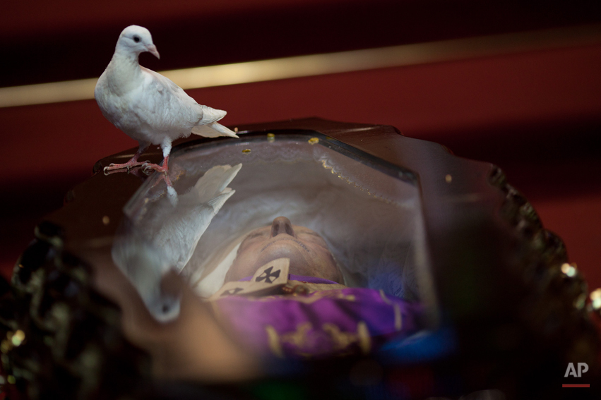  A dove perches on the glass top coffin of Brazilian Cardinal Eugenio Sales, during his funeral in Rio de Janeiro, Brazil, Tuesday, July  10, 2012. Sales, Archbishop Emeritus of Rio de Janeiro, provided shelter to thousands of opponents of the milita