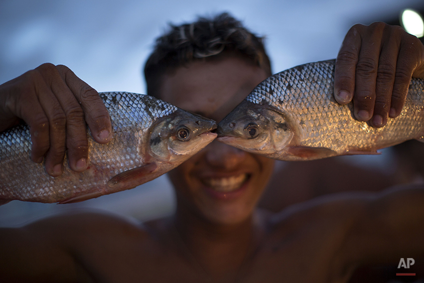  A young vendor holds a couple fish to his face as he jokingly poses for a photo at the Panair fish market in Manaus, Brazil, Saturday, May 24, 2014. Manaus is one of the host cities for the 2014 World Cup in Brazil. (AP Photo/Felipe Dana) 