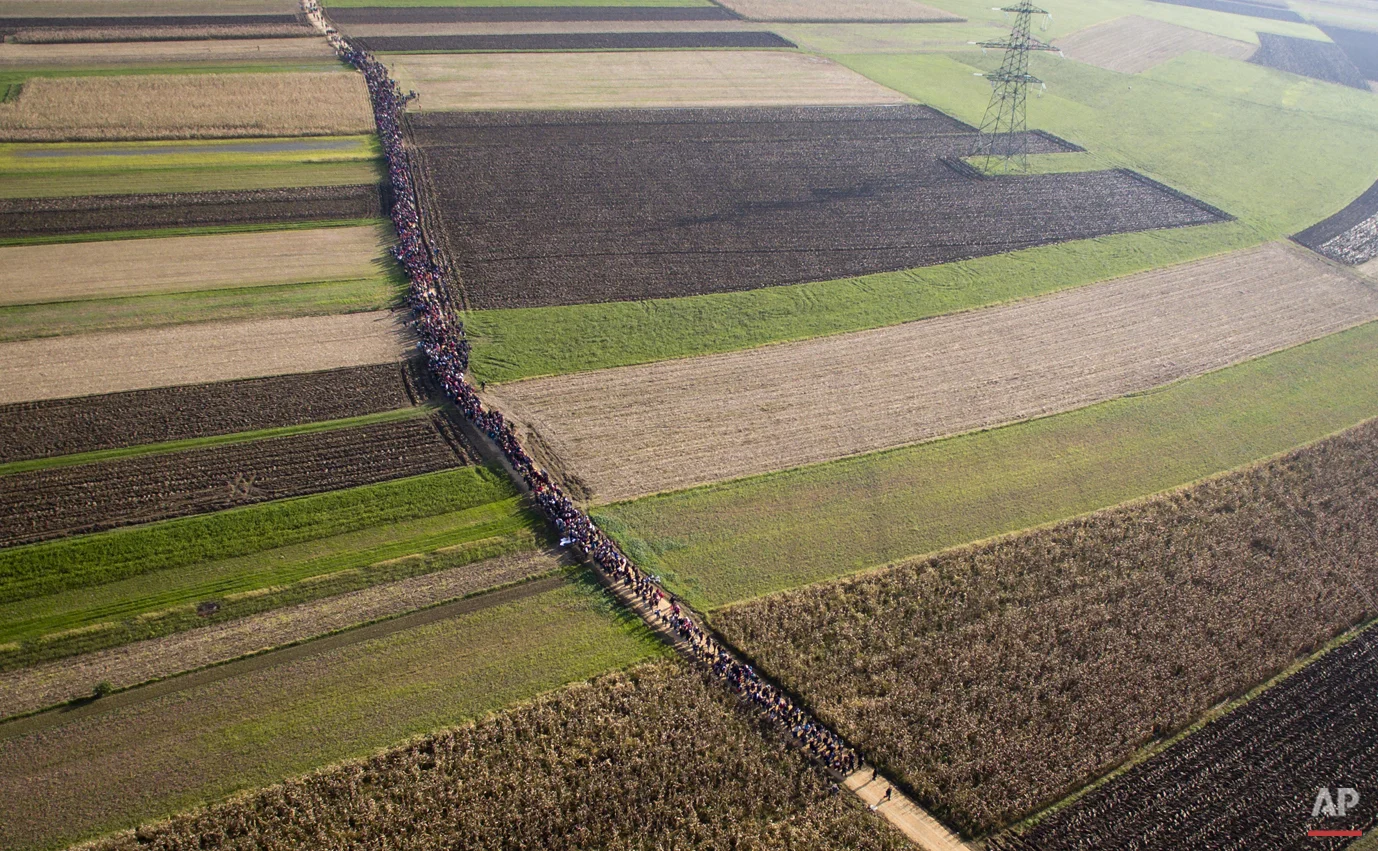 In this aerial view photo, a column of migrants moves through fields after crossing from Croatia, in Rigonce, Slovenia, Sunday, Oct. 25, 2015. (AP Photo/Darko Bandic)