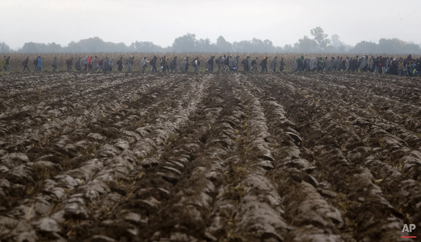 Migrants move through field after crossing from Croatia, in Rigonce, Slovenia, Sunday, Oct. 25, 2015. (AP Photo/Darko Bandic)