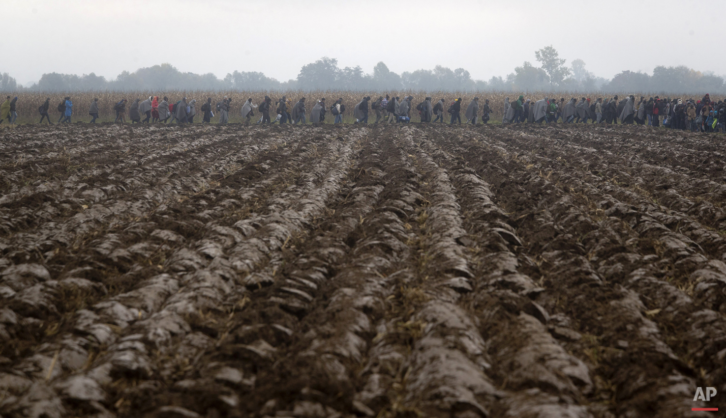  Migrants move through field after crossing from Croatia, in Rigonce, Slovenia, Sunday, Oct. 25, 2015.  (AP Photo/Darko Bandic) 