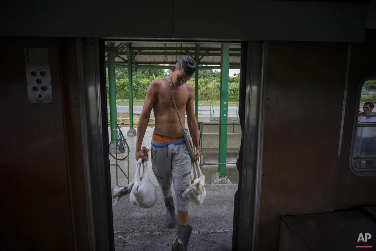 In this Aug. 26, 2015 photo, a young man boards the electric Hershey train with two live goats at the Hershey train station in Cuba. He's traveling to Casablanca, a municipality in Havana where he'll sell his livestock. (AP Photo/Ramon Espinosa)